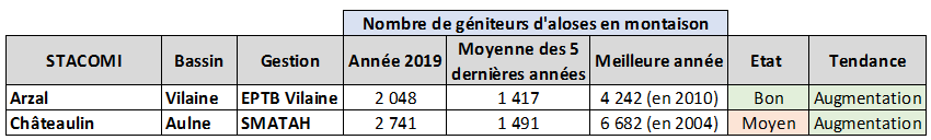 alose Bretagne