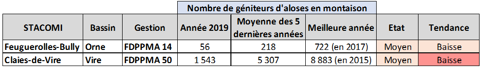 Alose Normandie