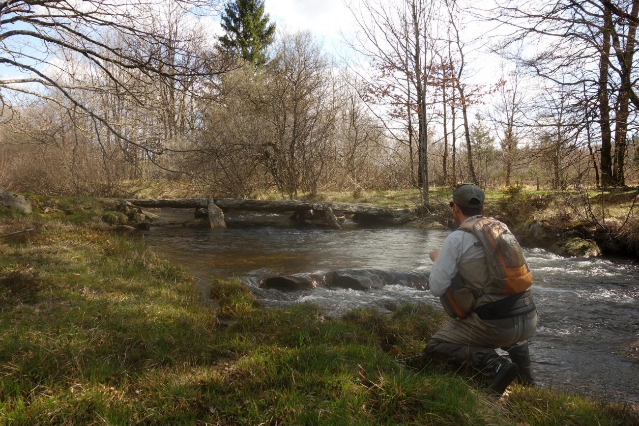 Ouverture truite les meilleures rivières Truites & Cie