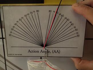 Action angle