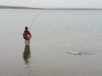 pêche Islande