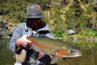 peche-mouche-nz-truite-arc