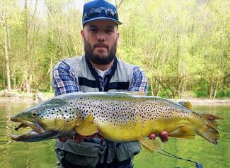 pêche truite leurre souple