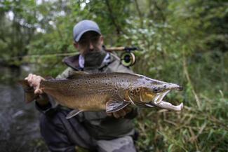 pêche saumon Bretagne