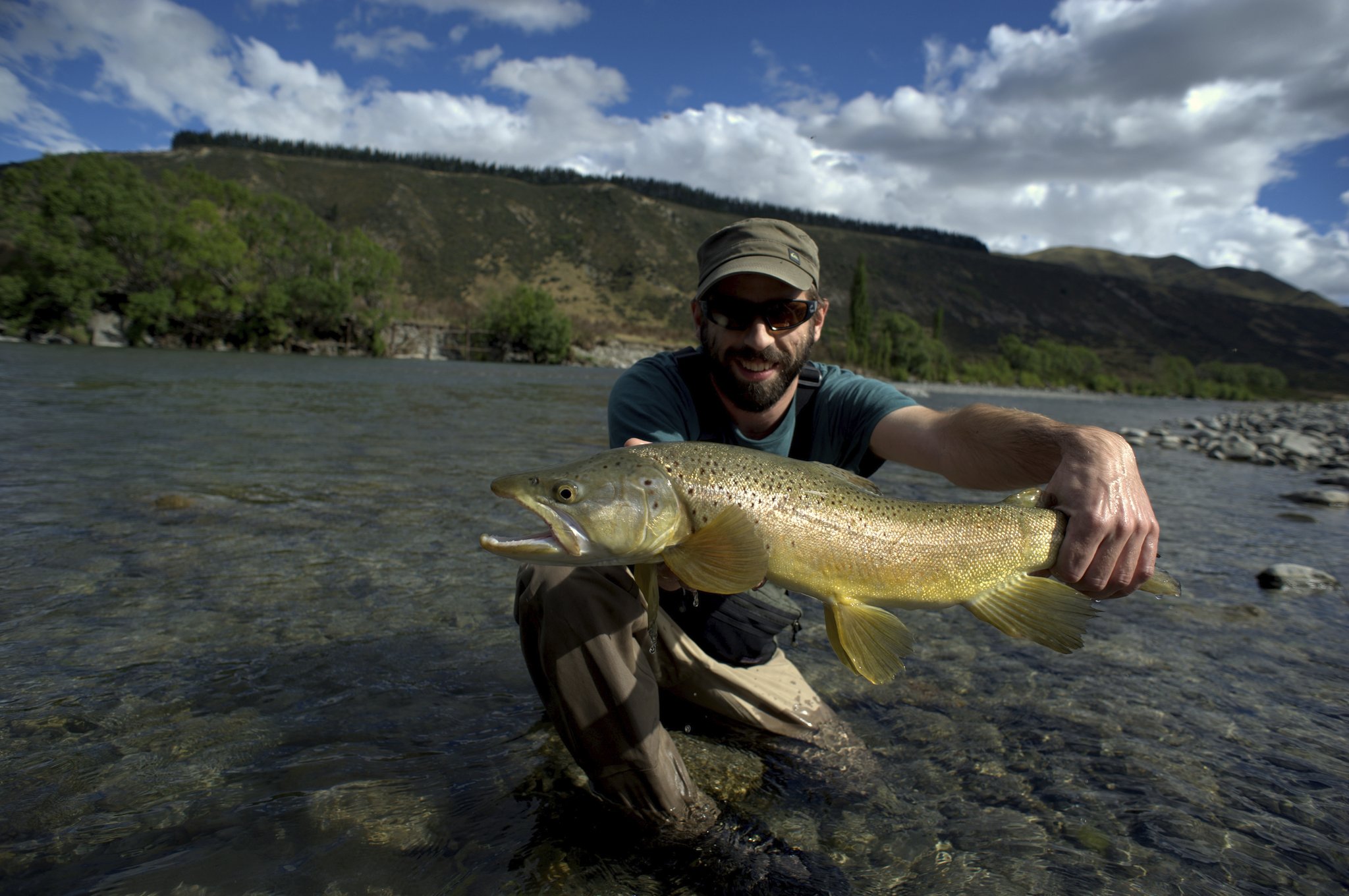 NZ Brown Trout