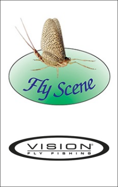 Vision - Fly Scene
