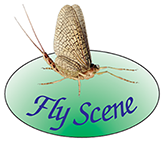 Fly Scene