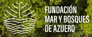 Mar y Bosques