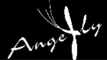 Angefly