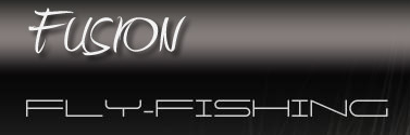 fusion fly fishing