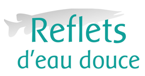 reflet d'eaux douces