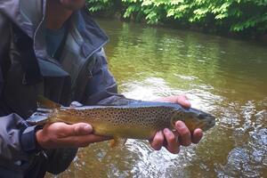 peche alsace