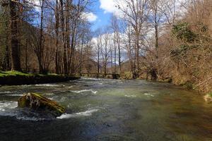 pêche fario ouverture