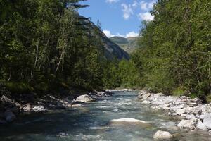 Pêche Ubaye