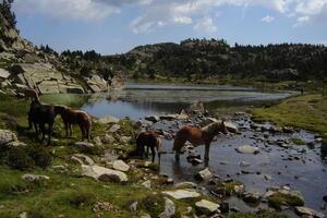 pêche lac Carlit