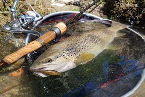 Pêche Savoie