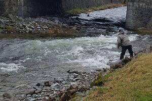 Pêche truite Alsace