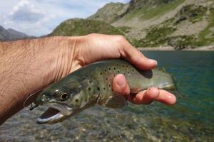 pêche lac de montagne