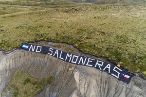 No salmoneras