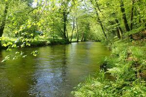 gestion de l'eau