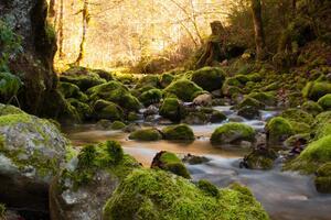 bassin versant