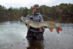 pêche mouche brochet