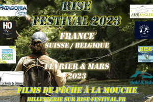 Rise festival