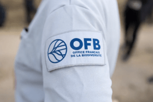 OFB