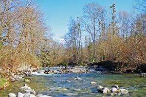 pêche truite Pyrénées