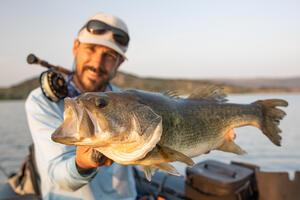 pêche black bass Portugal
