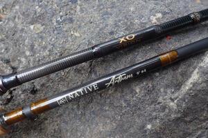 test canne mouche