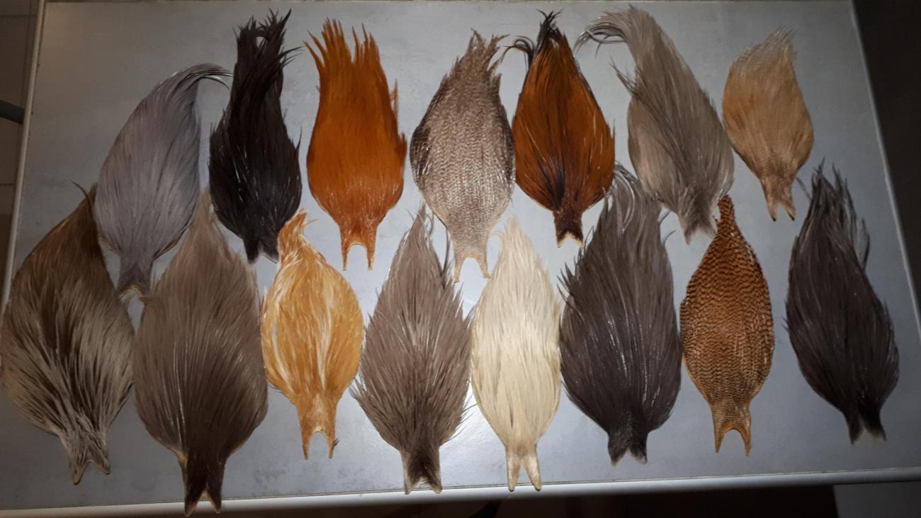 1 mètre - Plumes de cou de coq blanc naturel enfilées en gros (Lot