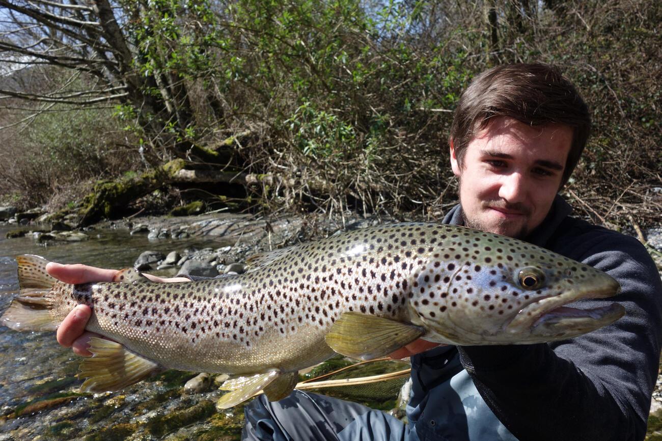Pêche des grosses truites les meilleures rivières en France