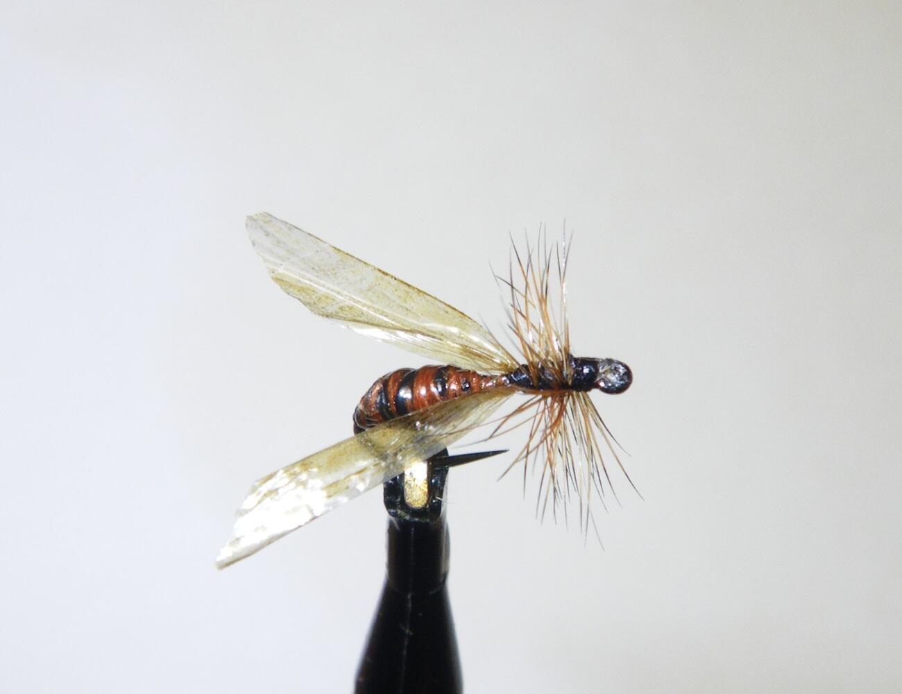 Fiche De Montage Mouches Truite 6 Mouches De Pêche Biot