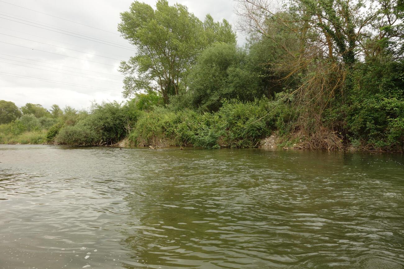 Comprendre les postes à truite et lire la rivière Truites & Cie