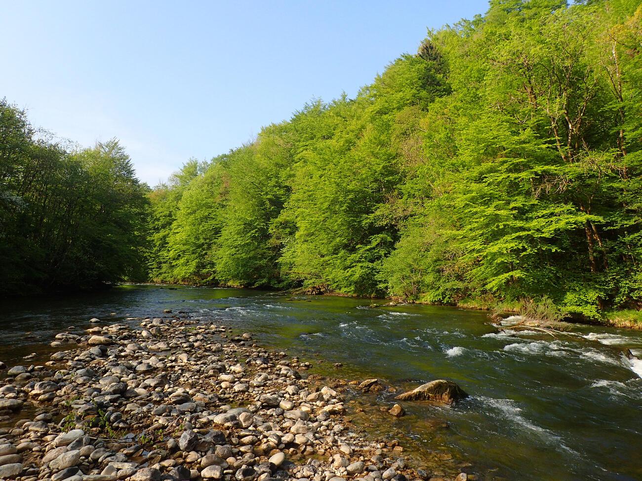 Comprendre les postes à truite et lire la rivière Truites & Cie