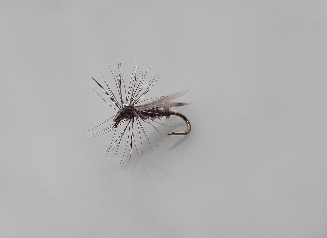 ENSEMBLE DE MOUCHES A TRUITE - MEILLEURS VENDEURS | FISHING