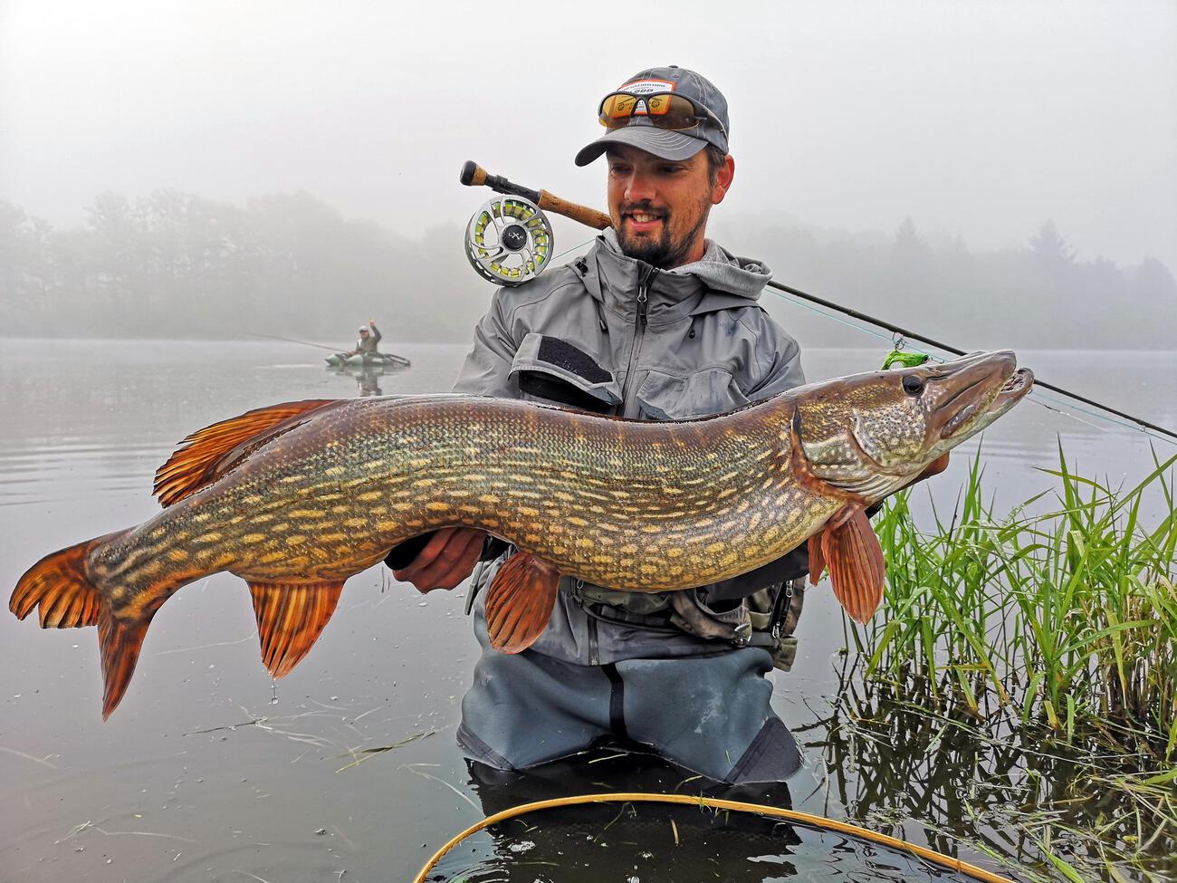 peche au brochet