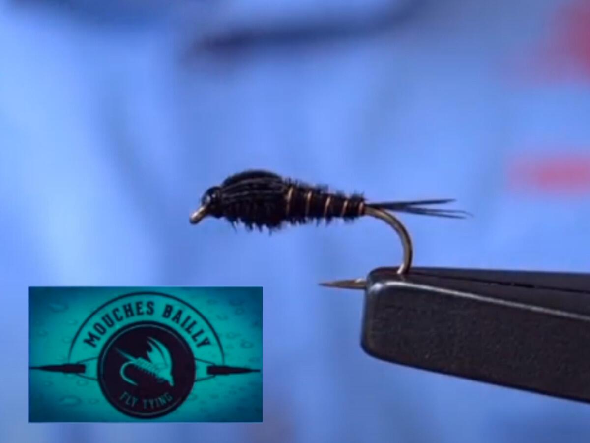 Mouche DEVAUX Nymphe bille tungstène JBNT 53-C (par 3 Mouche DEVAUX Nymphe bille tungstène JBNT 53-C (par 3