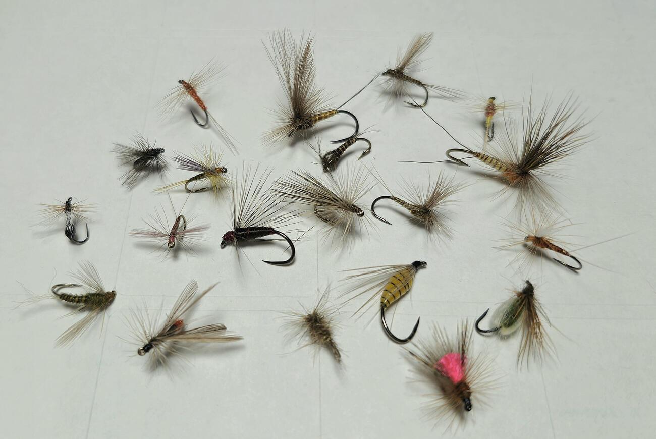 peche a la mouche pour debutant