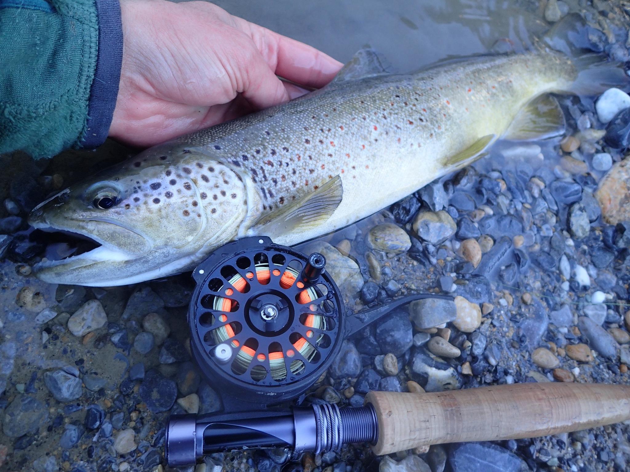 Ligne De Pêche à La Mouche Scientific Anglers Frequency Trout - Flottante WF - Couleur Peau De Daim
