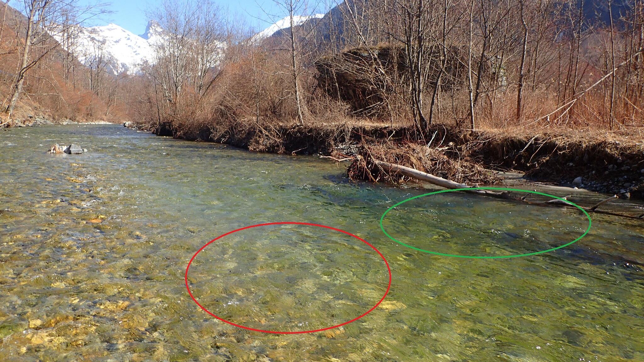 Comprendre les postes à truite et lire la rivière Truites & Cie