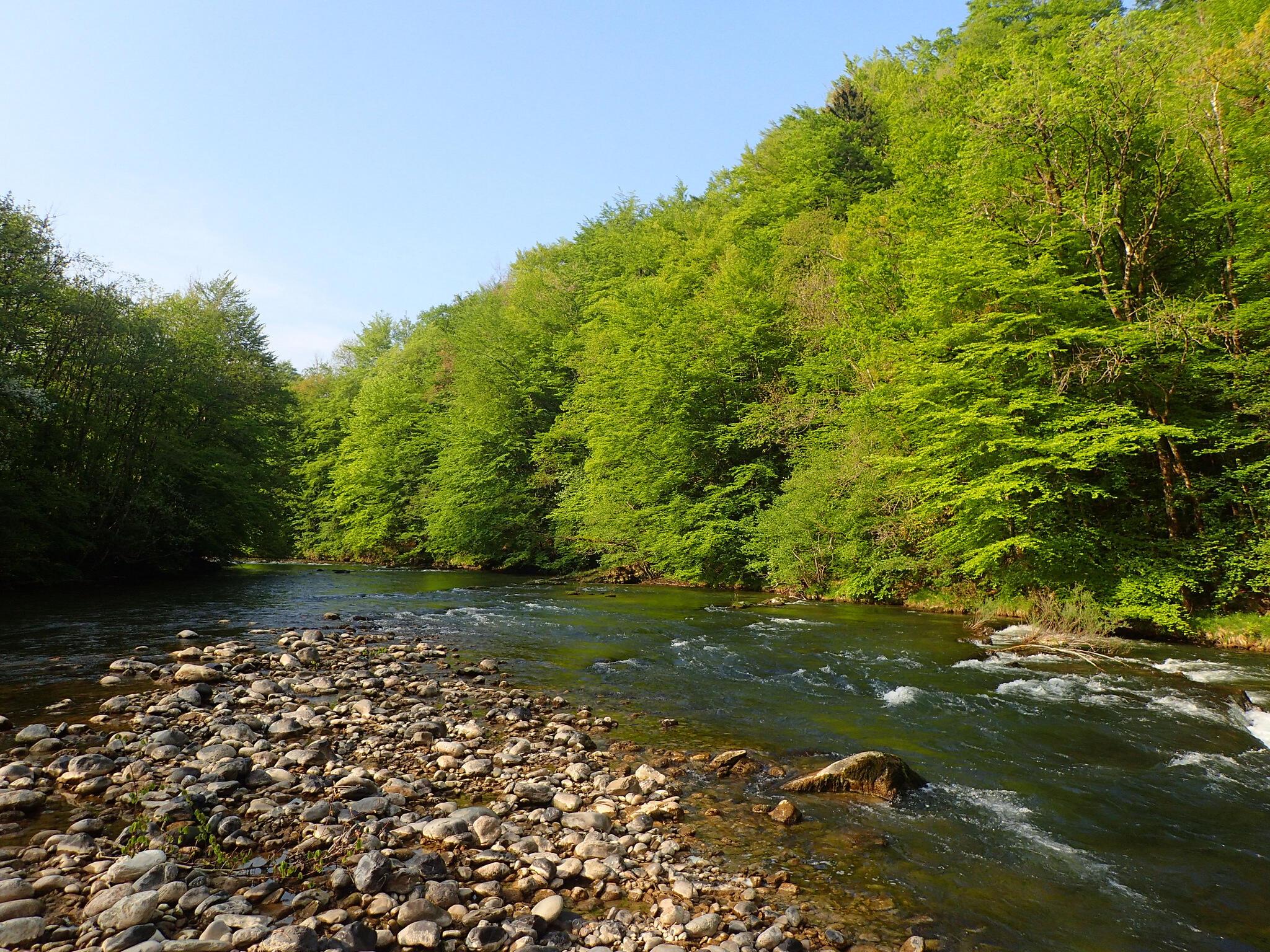Comprendre les postes à truite et lire la rivière Truites & Cie