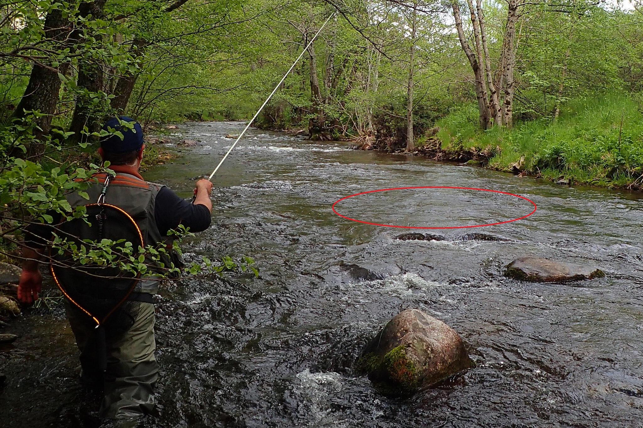 Comprendre les postes à truite et lire la rivière Truites & Cie
