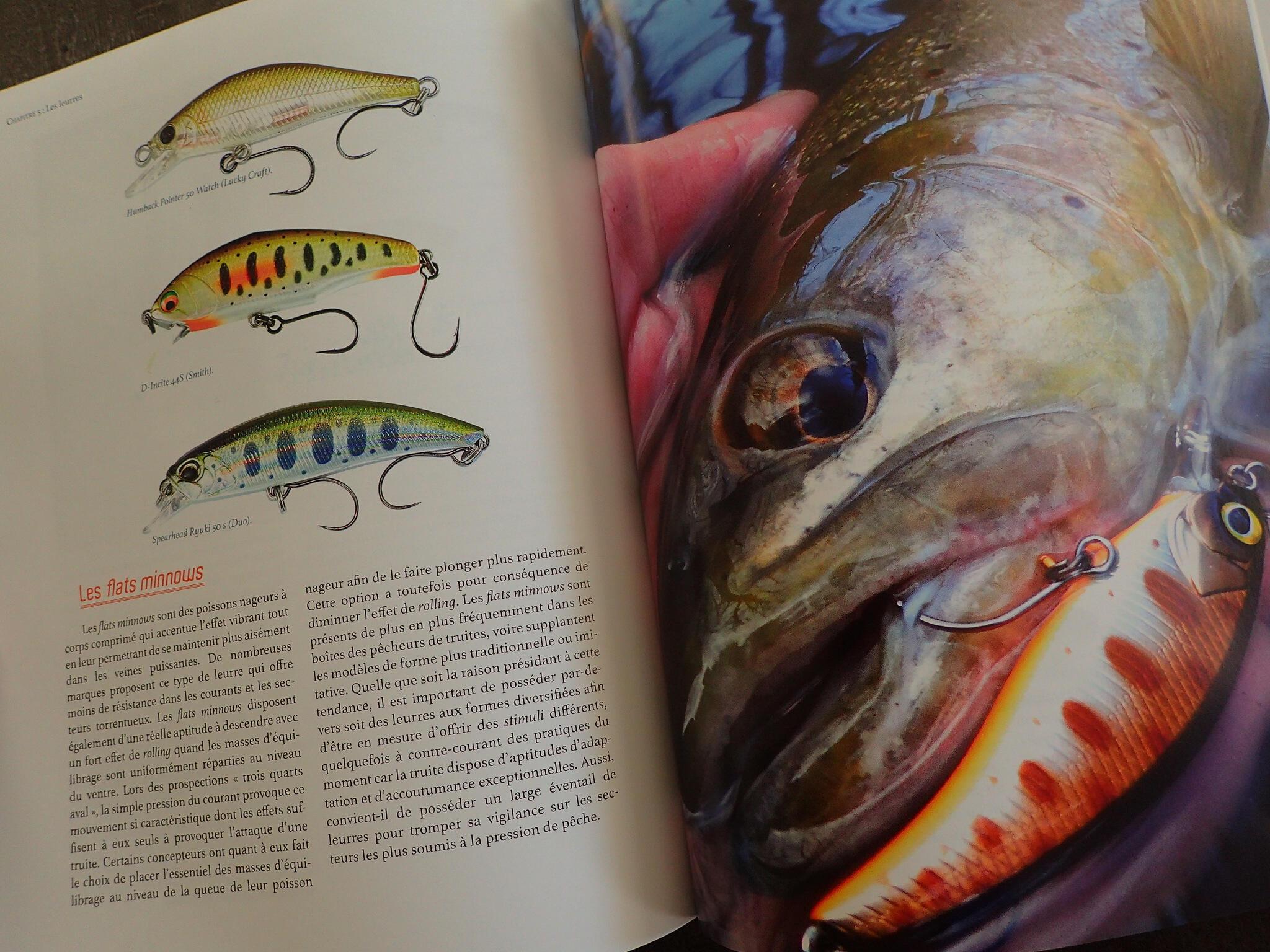 12 Leures De Pêche Mer/Truite - Jigging Et Piste - Plomb Personnalisés Et Neufs