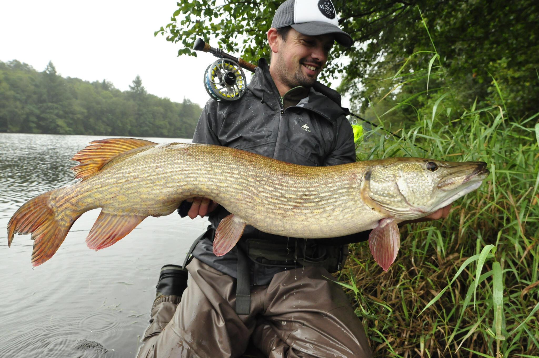 Pêche du brochet à la mouche en Automne