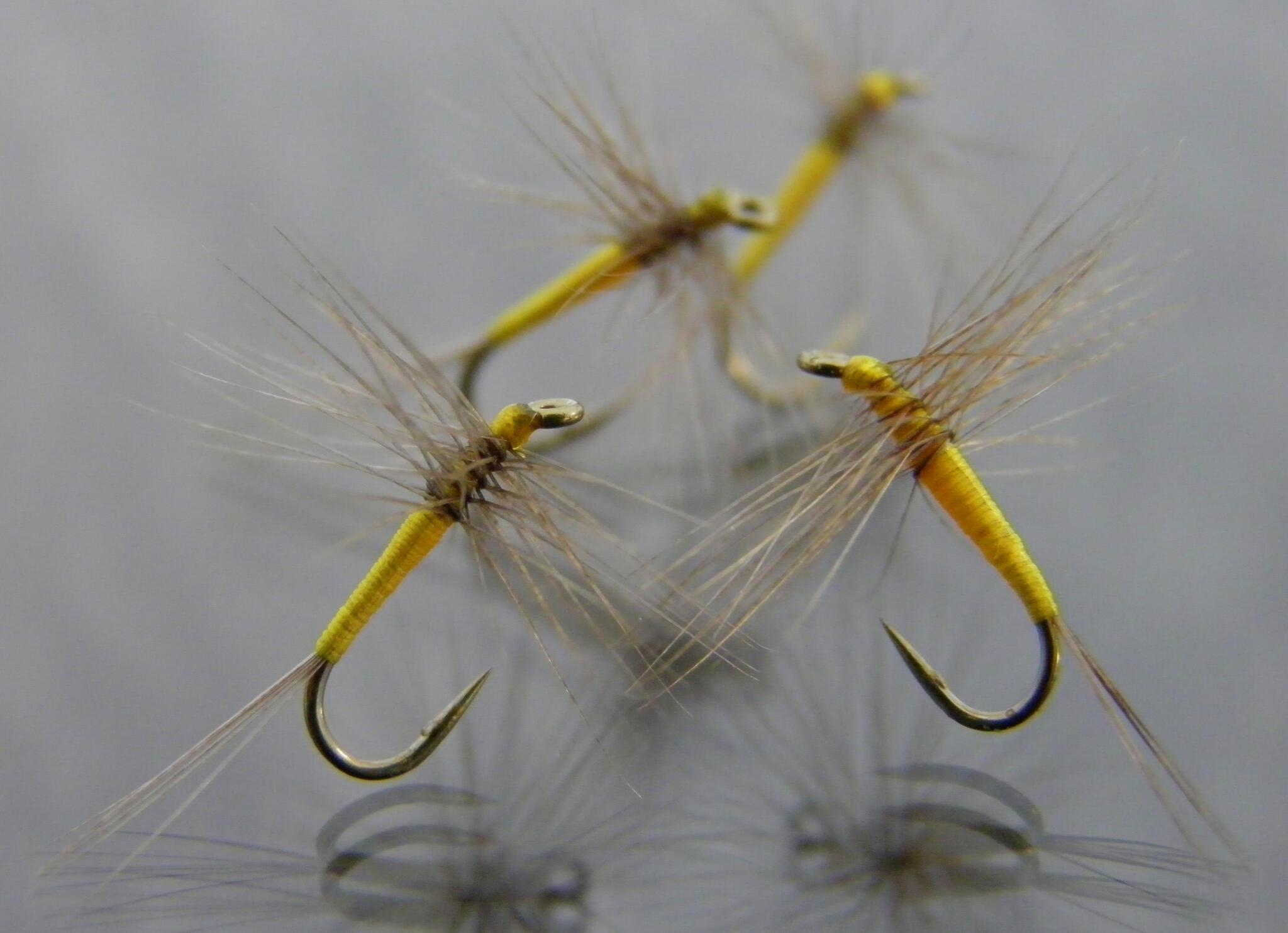 Bien débuter le montage de mouches | Truites & Cie