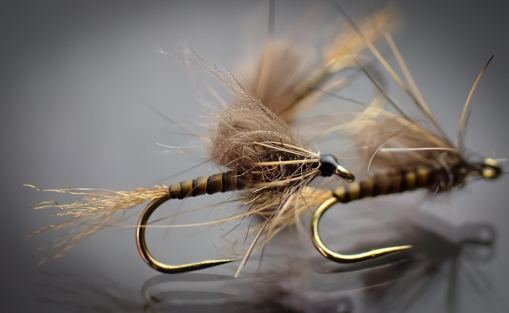 Mes mouches favorites - montage et utilisation | Truites & Cie