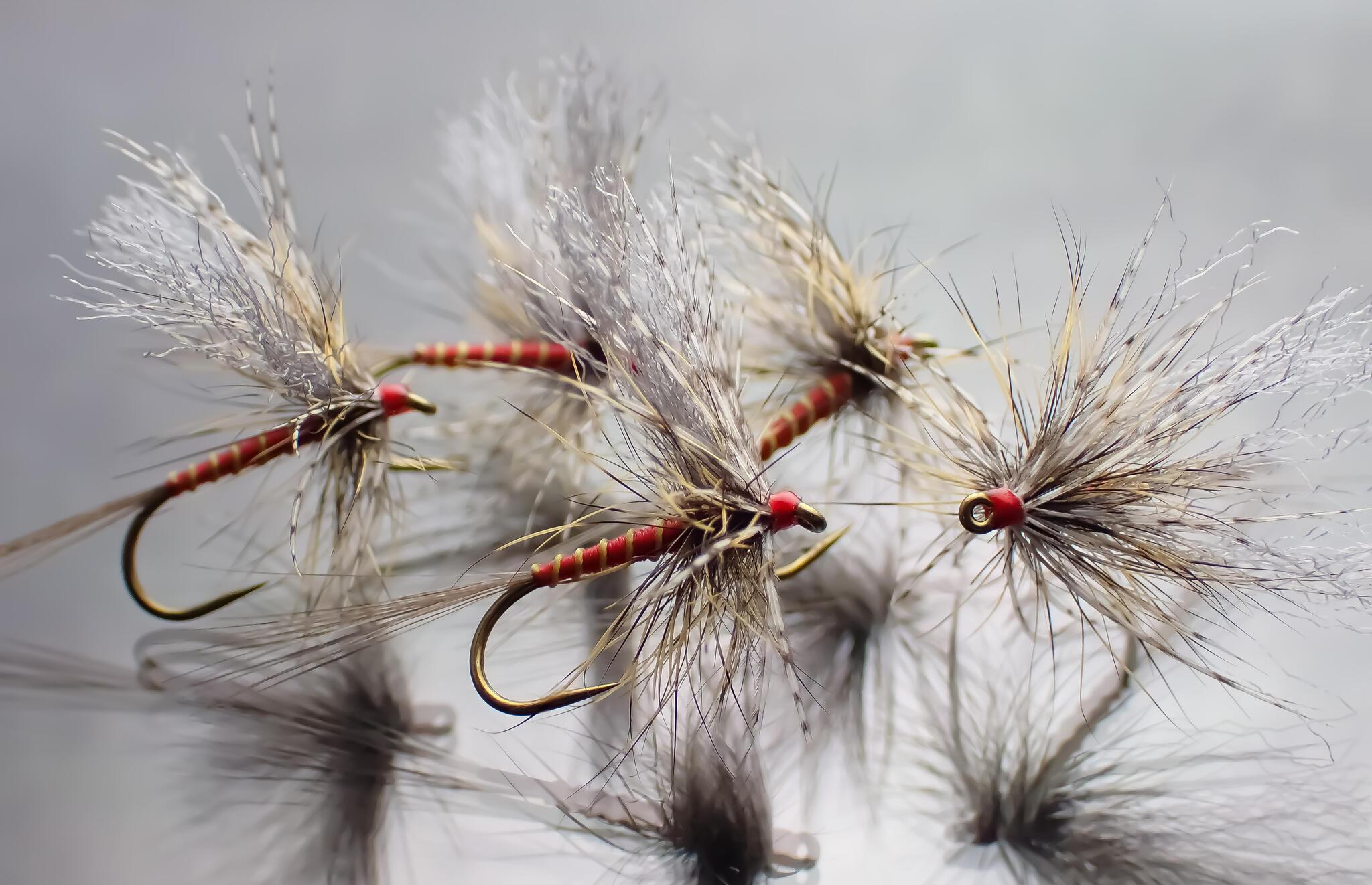 Mes mouches favorites - montage et utilisation | Truites & Cie