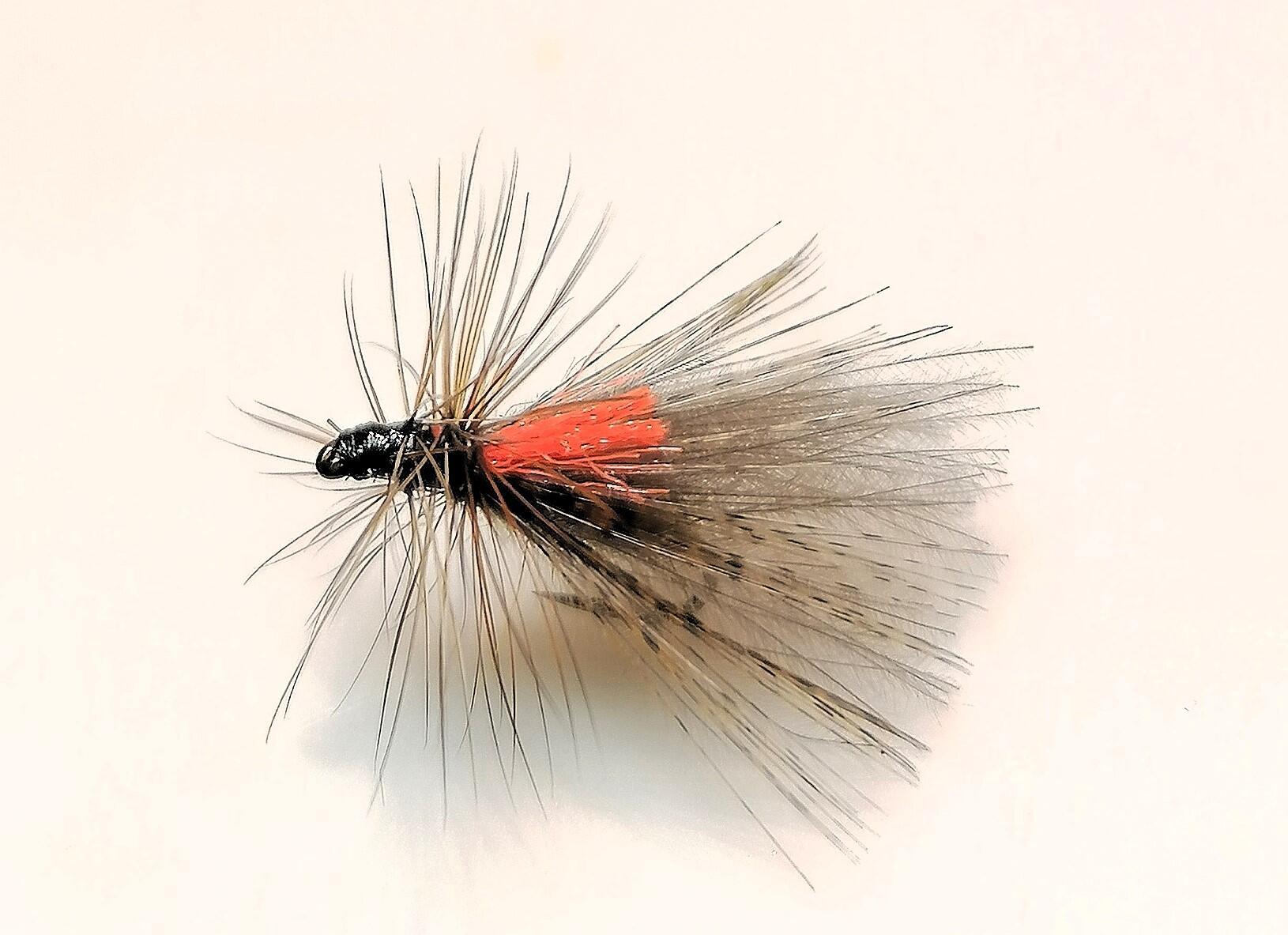 Lot De 6 Mouches Sèches En Mousse LT Easiyl – Taille #10, Corps Marron, Longues Pattes, Pour La Pêche à La Truite Et Au Saumon En Rivière